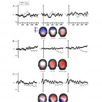 Electrophysiological responses to argument structure violations